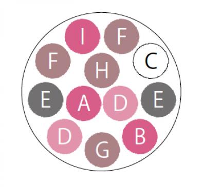 【ガーデニング】秋まで繰り返し咲くのが魅力！ 初心者でも育てやすい【ジニアの寄せ植え】（サムネイル画像6）