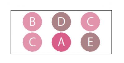 【ガーデニング】多彩な色・形の花が秋まで長く咲く！多年草【ニチニチソウ】の寄せ植え（サムネイル画像6）