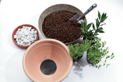 【ガーデニング】初心者でも育てやすく料理に活躍する「ハーブの寄せ植え」（サムネイル画像13）