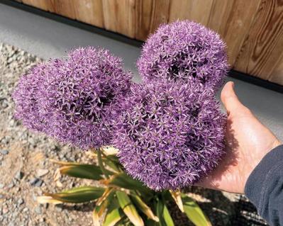 「50代・ひとり暮らし」勤続30年会社員が投資した持家と資産形成のプランとは？（サムネイル画像10）