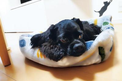 勤続40年のまおさんの「私らしい働き方」。「早期退職も考えた過去。テレワークのおかげで続けられそうです」（サムネイル画像10）