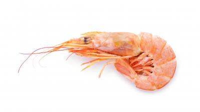 【50代からの快眠術】朝までぐっすりと眠れる体になるための8つの「生活習慣」＆「食事のコツ」（サムネイル画像6）