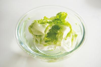 【食品の保存法】野菜を冷蔵で保存し、鮮度をできるだけキープするには？（サムネイル画像5）