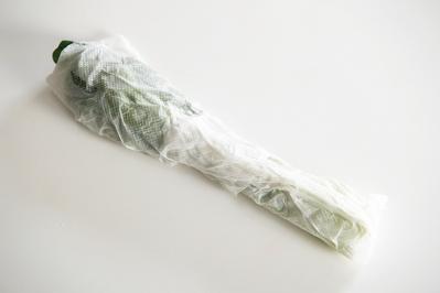 【食品の保存法】野菜を冷蔵で保存し、鮮度をできるだけキープするには？（サムネイル画像7）
