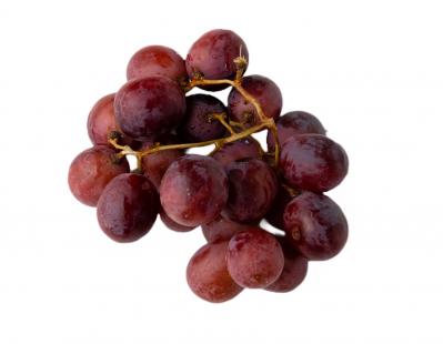 【食品の保存法】冷凍保存に向く12種の野菜・果物。調理がラクになるメリットも（サムネイル画像23）