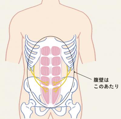 知ってる？「腰痛が改善する！」と今話題のストレッチ。理学療法士・兼子ただしさんが伝授！（サムネイル画像2）