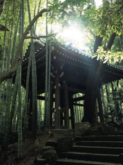 寝る前に【完全なオフモードになる方法】を、禅僧  枡野俊明さんに聞く（サムネイル画像3）