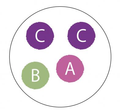 【ガーデニング】半日陰でもOK！ 晩秋まで華やかに咲く【インパチエンスの寄せ植え】（サムネイル画像3）