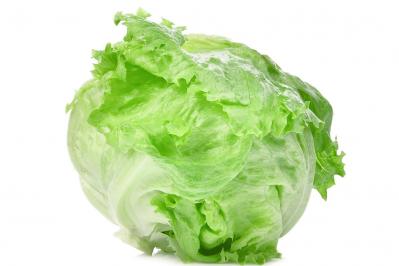 意外と知らない【レタス】の冷凍保存術！時短調理＆栄養アップレシピも
