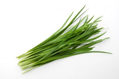 【にら】をしなっとさせない！冷蔵と冷凍の正しい保存術＆時短レシピ2選