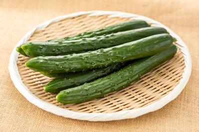 痩せる食べ物の代表格【きゅうり】レシピ4選【ダイエットの名医おすすめ】