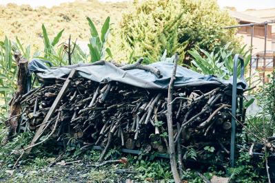 72歳・元ミス日本　伊藤千桃さんの小さくて自由な暮らし。「自然の中に身を置いて、目の前のことにこつこつと精を出す毎日」（サムネイル画像7）