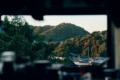 72歳・元ミス日本　伊藤千桃さんの小さくて自由な暮らし。「自然の中に身を置いて、目の前のことにこつこつと精を出す毎日」（サムネイル画像4）