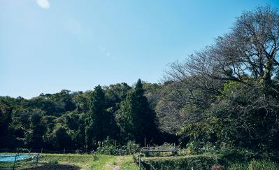 72歳・元ミス日本　伊藤千桃さんの小さくて自由な暮らし。「自然の中に身を置いて、目の前のことにこつこつと精を出す毎日」（サムネイル画像12）