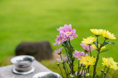 樹木葬？ 納骨堂？ もしもの場合に備えて知っておきたい【お墓の種類と最新事情】