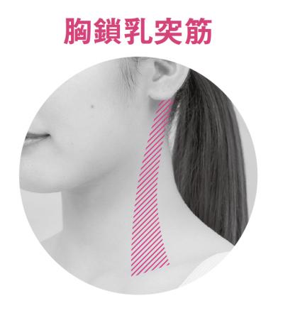 キュッとした小顔になると今、話題の【顔面縮小マッサージ】（サムネイル画像2）