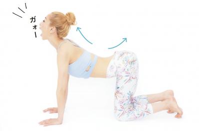 50代もOK！引き締めポーズで美尻に！ayaさんの動物ヨガで心も体もスッキリ（サムネイル画像6）