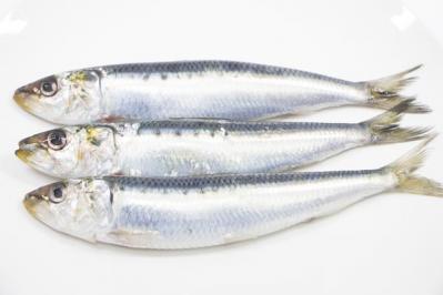 【やせる大人の食生活】９つのテクニック。Dr.ハッシーおすすめのダイエット食事とは？（サムネイル画像3）