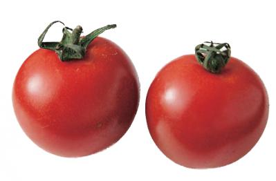 【トマト】の簡単でおいしい主菜＆副菜2選「ズッキーニとかじきのソース炒め」「アボカドのごましょうゆ和え」（サムネイル画像2）