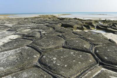 マリンブルーの海を満喫できる日本の【南の島】2選。旅行ジャーナリスト・津田令子さんおすすめ！ （サムネイル画像5）