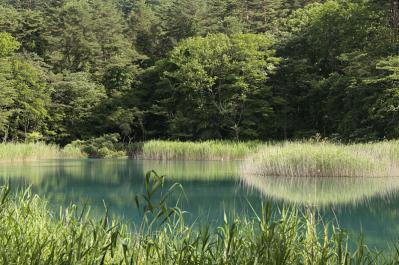 水の色の変化が神秘的な日本の【湖・沼】2選。 旅行ジャーナリスト・津田令子さんおすすめ（サムネイル画像9）