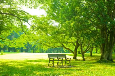 50代から始める老後不安に打ち勝つ投資と貯蓄のコツ【中道あんさん直伝！】（サムネイル画像3）