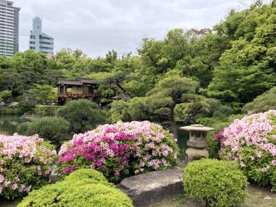 【60代の住み替え】老後を見据えて戸建てからコンパクトなマンションに！ ファイナンシャルプランナー・井戸美枝さんの実例（サムネイル画像5）