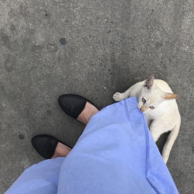 50代からの旅の靴の選び方。３つのポイントを【女ひとり旅】上級者に聞きました（サムネイル画像5）