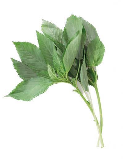 【モロヘイヤ】の簡単でおいしい主菜＆副菜2選「ドライカレー」「豚しゃぶサラダ」（サムネイル画像2）