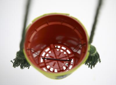 【ガーデニング】気軽におしゃれに楽しめる「観葉植物」のハンギングアイデアとは？（サムネイル画像8）