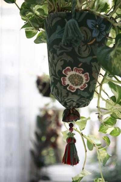 【ガーデニング】気軽におしゃれに楽しめる「観葉植物」のハンギングアイデアとは？（サムネイル画像3）