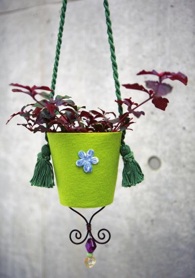 【ガーデニング】気軽におしゃれに楽しめる「観葉植物」のハンギングアイデアとは？（サムネイル画像7）