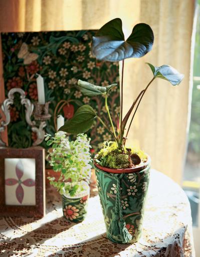 【ガーデニング】鉢カバーで「観葉植物」をよりおしゃれに楽しむ！ 吉谷桂子さん流の簡単アイデアとは？（サムネイル画像7）