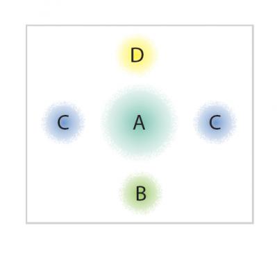 【ガーデニング】室内がすっきり見える！「観葉植物の寄せ植え」アイデア（サムネイル画像3）