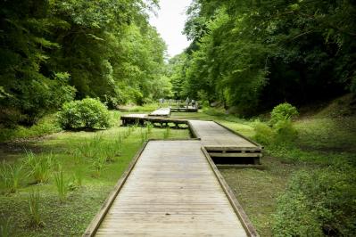 写真映え間違えなし！の幻想的な日本の【渓流】2選。旅行ジャーナリスト・津田令子さんおすすめ（サムネイル画像8）