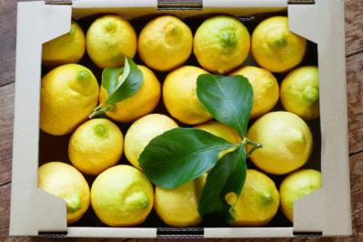 料理研究家　堤  人美さん絶賛のお取り寄せ６選　私の必需品【保存版】（サムネイル画像14）