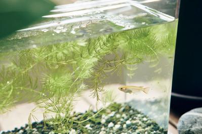 60歳を過ぎて始めた動画制作。「不安にとらわれる時間を、今を楽しむために使いたい」yamaさん【後編】（サムネイル画像13）