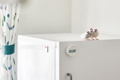 60歳を過ぎて始めた動画制作が日々の糧に。yamaさんの小さくて自由な暮らしとは（サムネイル画像）