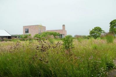 【ガーデニング】小さな庭とベランダに似合う10のおすすめグラス類。ナチュラルな多年草の風情を楽しむ（サムネイル画像3）