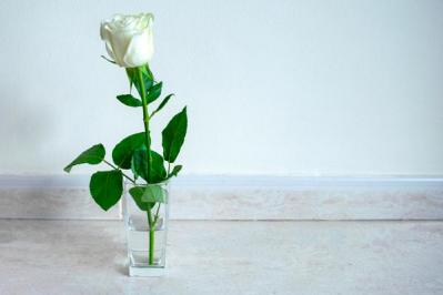 【ガーデニング】バラの夏剪定後に！秋の開花を成功させる肥料の与え方と切り花アレンジ術（サムネイル画像4）