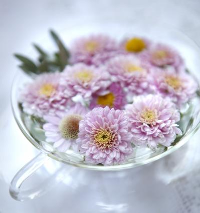 秋に作りたい【ピンクのマムの寄せ植え】愛らしい印象で空間を彩る【ガーデニング】（サムネイル画像4）