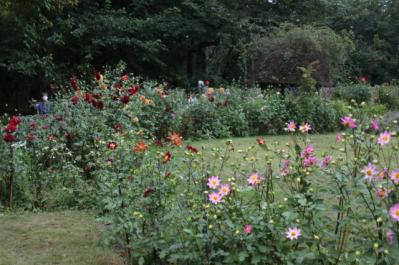 秋旅におすすめ！都心から行けるダリアの咲くガーデンめぐり（サムネイル画像3）