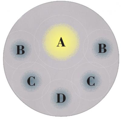 【ガーデニング】9〜10月に出回る苗で作って楽しむ【オレンジのマムの寄せ植え】（サムネイル画像5）