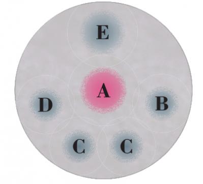 秋に作りたい【ピンクのマムの寄せ植え】愛らしい印象で空間を彩る【ガーデニング】（サムネイル画像3）