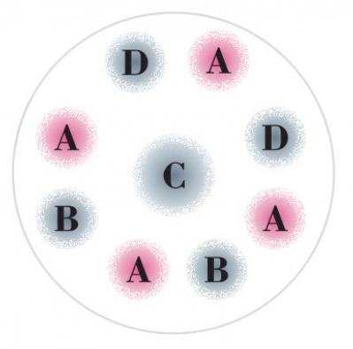 秋に作りたい【ピンクのマムの寄せ植え】愛らしい印象で空間を彩る【ガーデニング】（サムネイル画像6）