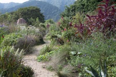 秋旅におすすめ！都心から行けるダリアの咲くガーデンめぐり（サムネイル画像6）