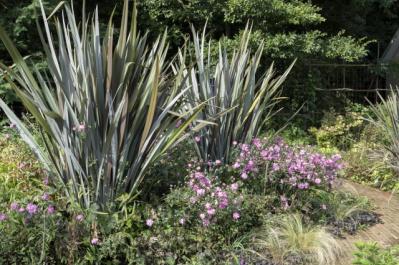 秋旅におすすめ！都心から行けるダリアの咲くガーデンめぐり（サムネイル画像9）