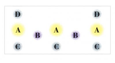 【ガーデニング】心浮き立つような華やかさ！吉谷桂子さんの【黄色いマムの寄せ植え】（サムネイル画像5）