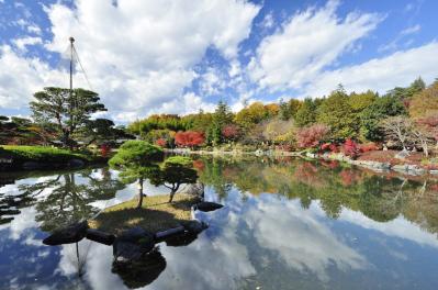 ロマンチックなピンク、黄色が一面に広がる【コスモス】の名所2選｜園芸研究家・桐原春子さんおすすめ（サムネイル画像10）