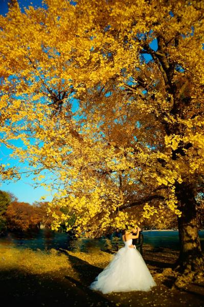 スマホで撮る紅葉写真が劇的に変わる！プロに教わるちょっとした６つのコツ（サムネイル画像8）